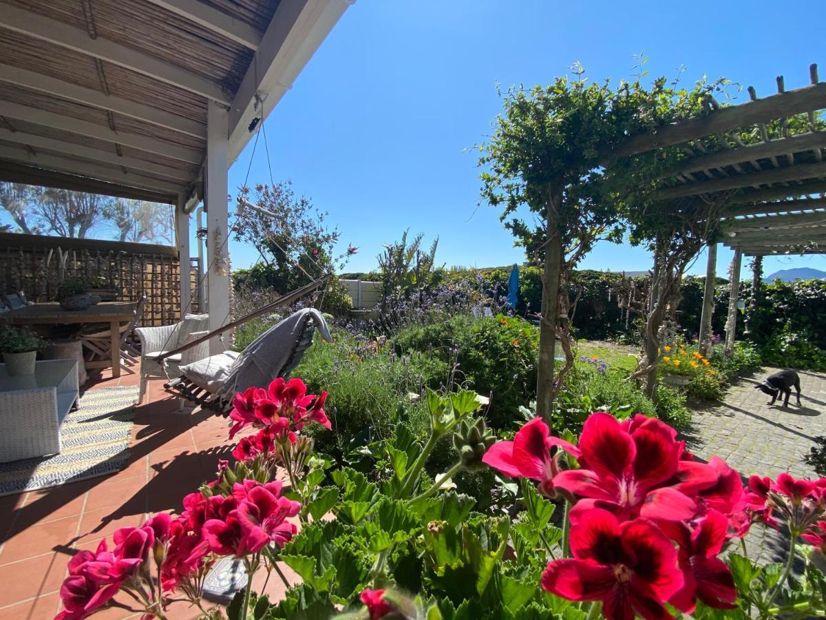 Hotel Guinea Fowl House Kommetjie Esterno foto